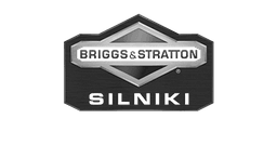 Briggs & Stratton Silniki